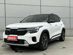 2023 Kia Sethus 1.5L CVT Luxury, белый — фото 2