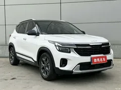 2023 Kia Sethus 1.5L CVT Luxury, белый — фото 3