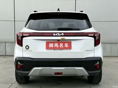 2023 Kia Sethus 1.5L CVT Luxury, белый — фото 7