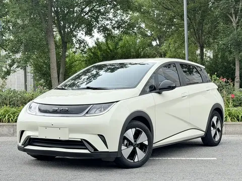 2023 BYD Dolphin 420km Freedom