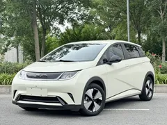 2023 BYD Dolphin 420km Freedom, белый — фото 1