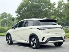 2023 BYD Dolphin 420km Freedom, белый — фото 5