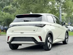 2023 BYD Dolphin 420km Freedom, белый — фото 7