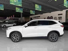 2022 Haval H6 3rd Gen 1.5T AT 2WD Max, белый — фото 4