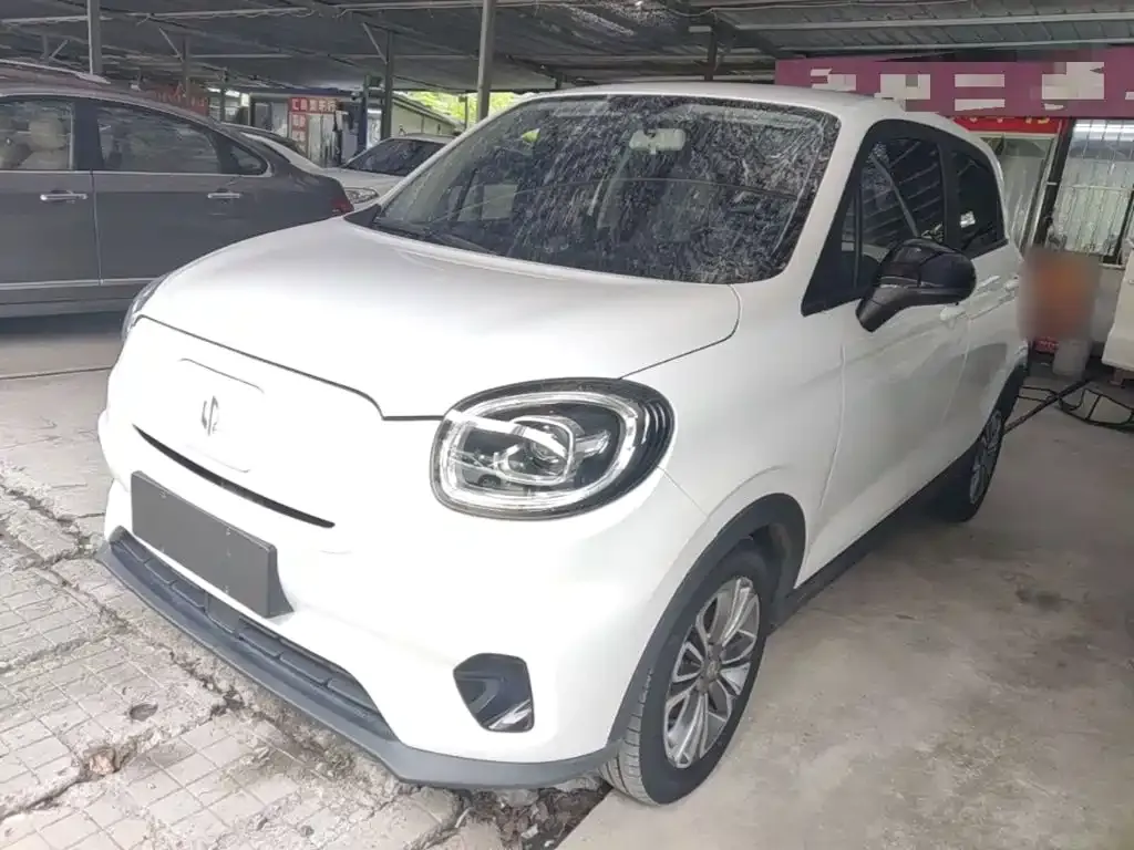 2024 Leapmotor T03 310