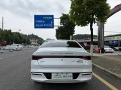 2023 BYD Qin PLUS 120KM, белый — фото 5