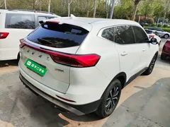 2021 Haval H6 1.5T AT Guochao Urban, белый — фото 5