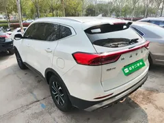 2021 Haval H6 1.5T AT Guochao Urban, белый — фото 23