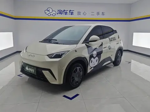 2024 BYD Seagull Honor 305km Vitality