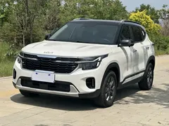 2023 Kia Seltos 1.5L CVT Luxury, белый — фото 1