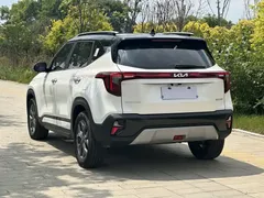 2023 Kia Seltos 1.5L CVT Luxury, белый — фото 5