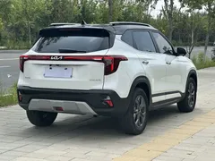 2023 Kia Seltos 1.5L CVT Luxury, белый — фото 7