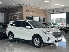 2023 Haval M6 Plus 1.5T DCT Elite, белый — фото 3