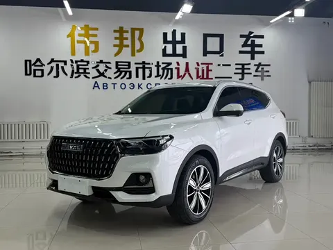 2023 Haval H6 1.5T AT Guochao Champion