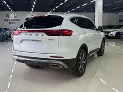 2023 Haval H6 1.5T AT Guochao Champion, белый — фото 6