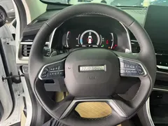 2023 Haval H6 1.5T AT Guochao Champion, белый — фото 10