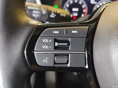 2023 Honda Haoying 240TURBO 4WD Premium 5-seater — фото 15