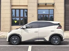 2025 BYD Seagull EV 305km, белый — фото 8