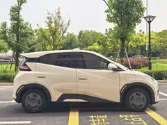 2025 BYD Seagull EV 305km, белый — фото 9
