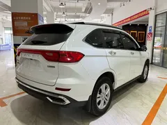 2023 Haval M6 Plus 1.5T DCT Elite, белый — фото 4