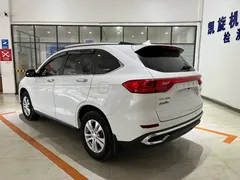 2023 Haval M6 Plus 1.5T DCT Elite, белый — фото 6