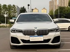 2023 BMW 5 Series 530Li Leading M Sport Package, белый — фото 19
