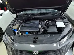 2023 Changan Lamore 1.5T GDI DCT Pilot — фото 20