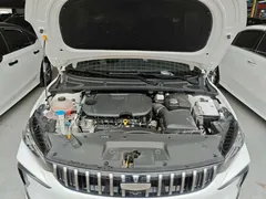 2024 Geely Binrui Cool 1.5T DCT Champion, белый — фото 16