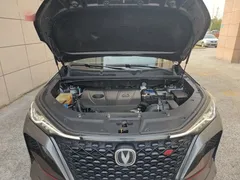 2021 Changan CS75 PLUS 2.0T AT Pilot — фото 20