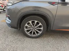 2021 Changan CS75 PLUS 2.0T AT Pilot — фото 23