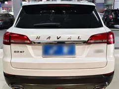 2021 Haval H7 2.0T, белый — фото 16