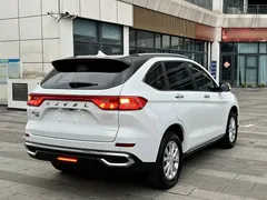 2021 Haval M6 Plus 1.5T DCT Luxury, белый — фото 7
