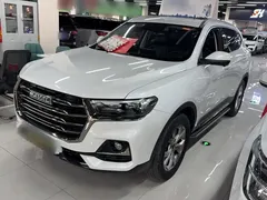 2021 Haval H6 1.5GDIT AT Guochao Champion, белый — фото 1