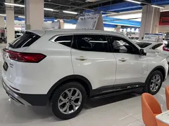2021 Haval H6 1.5GDIT AT Guochao Champion, белый — фото 5