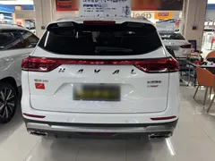 2021 Haval H6 1.5GDIT AT Guochao Champion, белый — фото 10