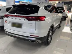 2021 Haval H6 1.5GDIT AT Guochao Champion, белый — фото 11