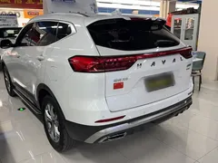 2021 Haval H6 1.5GDIT AT Guochao Champion, белый — фото 13