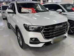 2021 Haval H6 1.5GDIT AT Guochao Champion, белый — фото 16