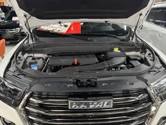 2021 Haval H6 1.5GDIT AT Guochao Champion, белый — фото 17