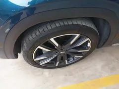 2021 Geely Monjaro 2.0TD DCT 2WD EVO Premium, синий — фото 25
