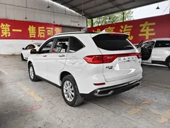 2023 Haval M6 Plus 1.5T MT Luxury, белый — фото 10