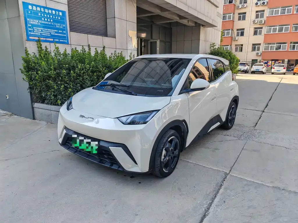 2023 BYD Seagull Vitality