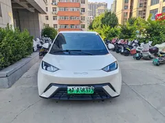 2023 BYD Seagull Vitality, белый — фото 2