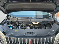 2024 Hongqi HQ9 2.0T 4WD Luxury — фото 7