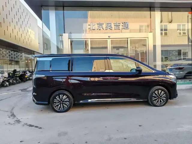 2024 Hongqi HQ9 2.0T 4WD Luxury