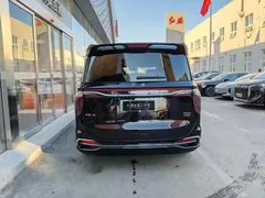2024 Hongqi HQ9 2.0T 4WD Luxury — фото 9