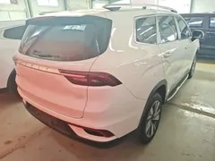 2020 Geely Okavango 1.8TD DCT 7, белый — фото 7