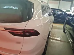 2020 Geely Okavango 1.8TD DCT 7, белый — фото 8