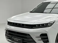 2022 Exeed Star Journey Chasing the Wind Riding the Wind and Waves 1.5T CVT Riding the Wind — фото 5