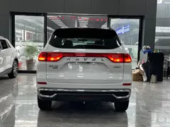 2021 Haval M6 PLUS 1.5T DCT luxury, белый — фото 15